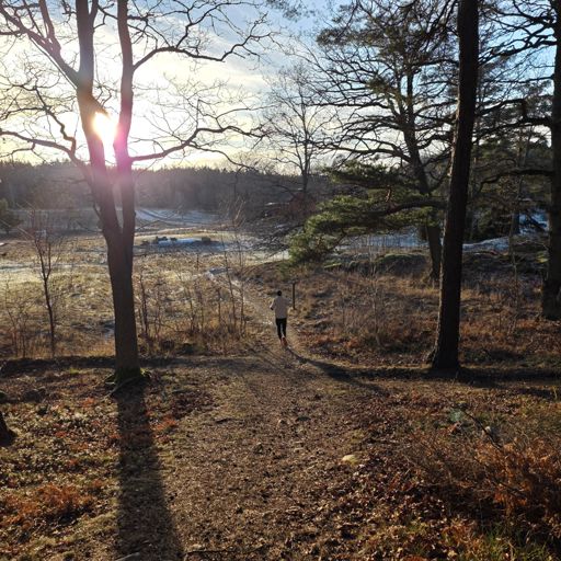 Martin i motljus ner mot Långängen. Vackert. 