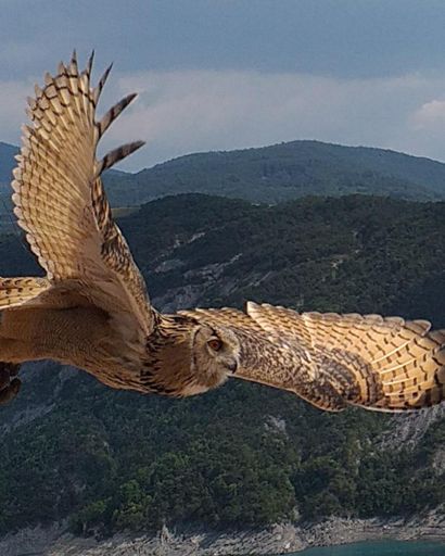 Hier au parc animalier du sauze du lac