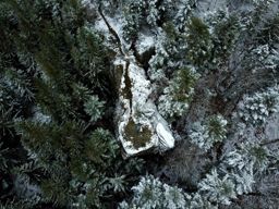 Canceley Rommelstein