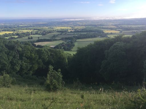 On the footpath down alongside Ditchling