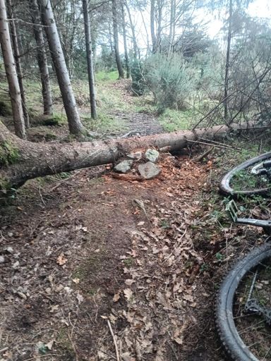 Tried to make a little thing. Looks like shit, rides like shit, probably lethal, woo