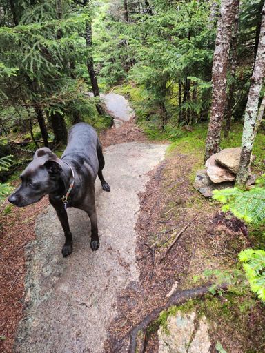 Not impressed by summit cairn...