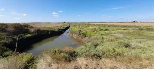Marais de la Seudre