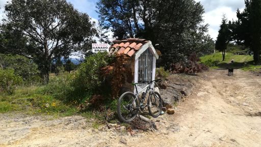 Pero a mi no me hicieron nada 😂 🐮 🐂 🚴🏼 💪🏽 ⛰