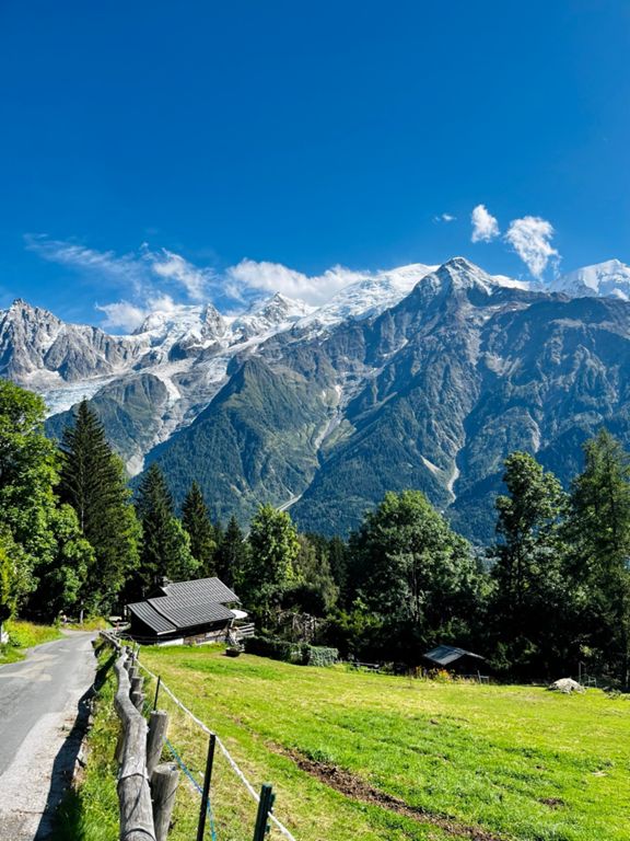 hängematte mückennetz AMAZONAS Traveller Camp – Vorteile der Hängematte-Moskitonetz-Tarp Kombi Farbe:dunkelgrün Focus ARRIBA 3.8 2019 Wohnmobil Zubehör Ordnung