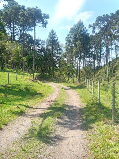 Trecho caminho dos Ambrósios