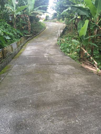 Too slippery to ride up