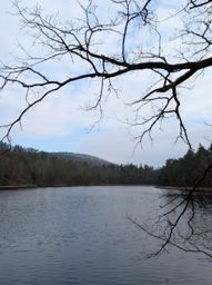 Autour du Falkenstein