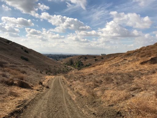 Ascot Hills south