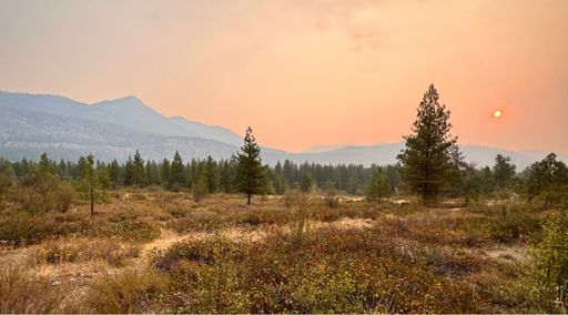 Thick smoke from northwest fires covers most of the state.