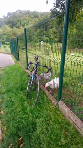 '' Je crois que tu as un problème de rayons mon pote ''