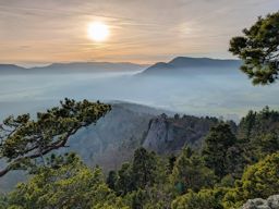 Falkenstein Ortenbourg