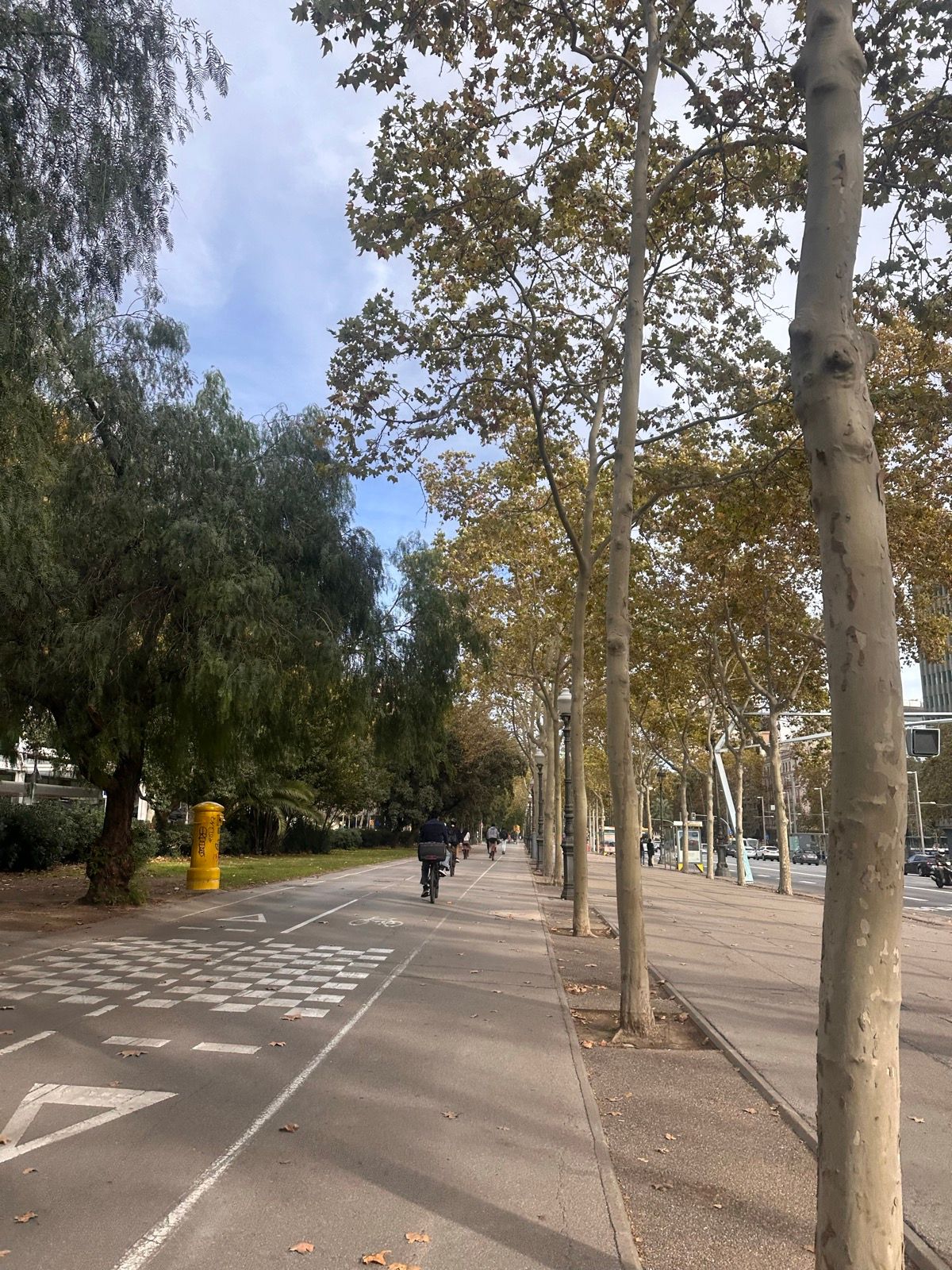 Barcelona Long Base 2 Run