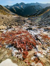 Tête de l’Estrop depuis la Foux d’Allos