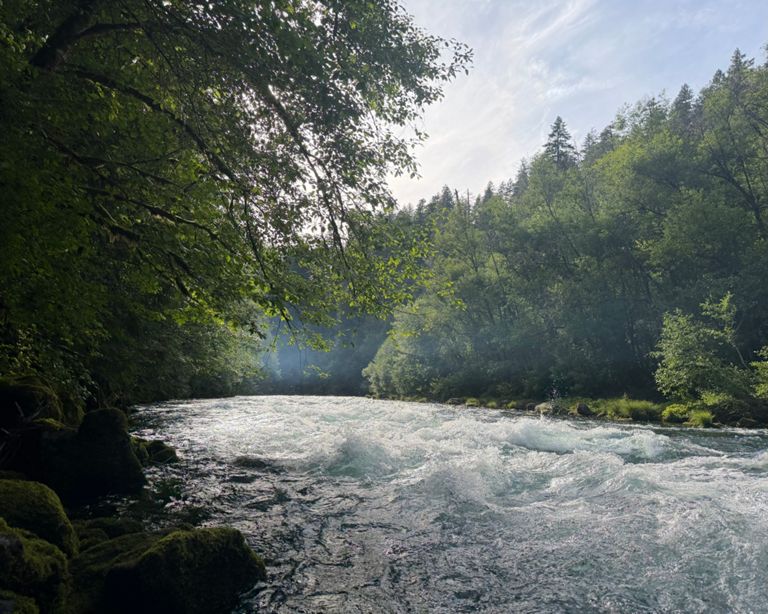 Thumbnail for Roaring McKenzie River