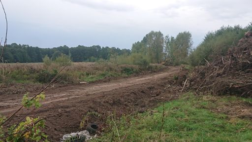 Budowana ścieżka rowerowa z Lubina do Chocianowa śladem zlikwidowanej linii kolejowej nr 319 - łuk w Szklarach Dolnych