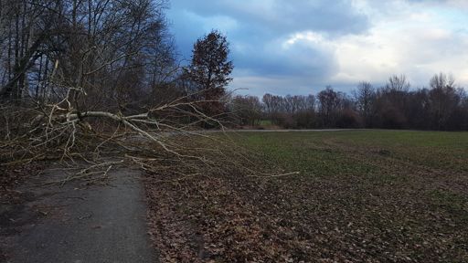 past na stezce před Ivanovicema na Hané