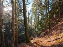descente vers le pied de l’arête