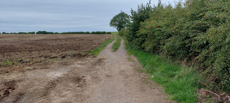 NCN Route 1 turned left before Thorpe Thewles station – see online OS 1:25K or aerial map with NCN overlay. We continued on past the station and followed a route to the right, through the village, before joining a road back to Route 1.    This view is just past a log across the route shown in Google Maps' Streetview.    Our route would turn left shortly after, perhaps at the distant trees and bushes.  NCN Route 1 follows dirt tracks at times, e.g. where former rail routes cross roads and near re-purposed land.   This spot is 1.29 miles before decent urban cycle path into Stockton-on-Tees.