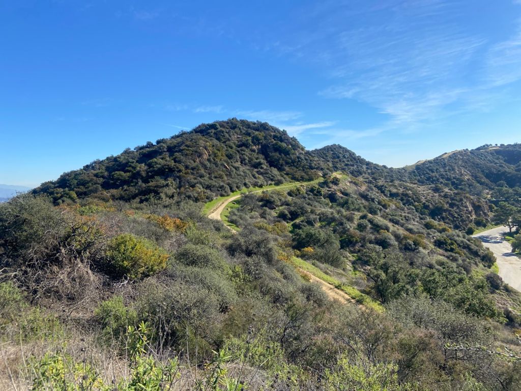 NBB run - Lake Hollywood photo 56