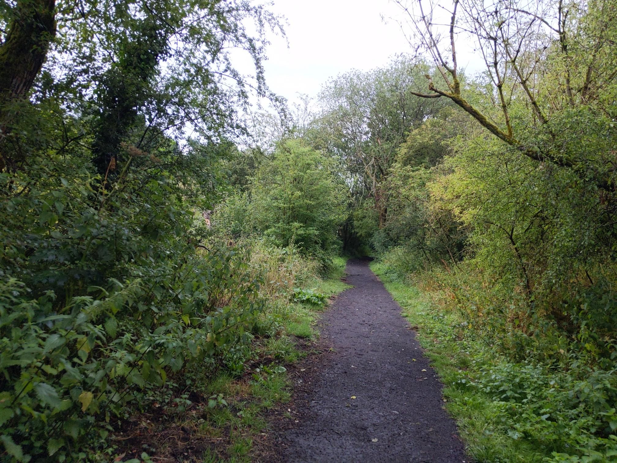 Skipton to Lands End - Day 4 photo 3