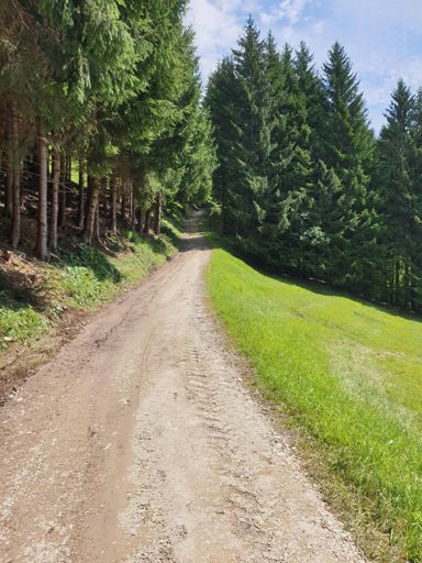 Man siehts leider nicht,aber das sind zwischen 15-25 % und zwar gaaaaanz schön lang 🤪🤪