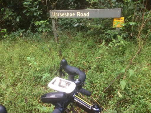 Another very welcome sign! McKays/Horseshoe Rd intersection.