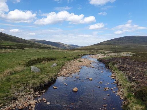 Glen Tanar