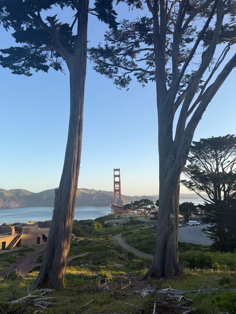 Butterlap (Presidio & Golden Gate Park) photo 66