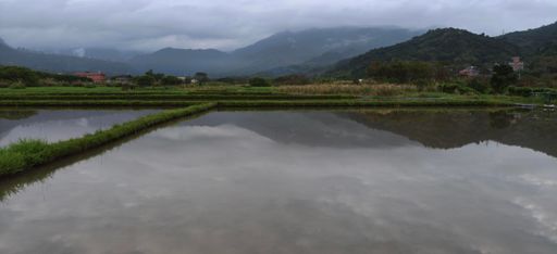 早上厚厚的雲層遍佈
