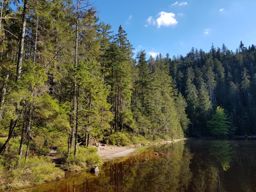 Mummelsee Wildsee