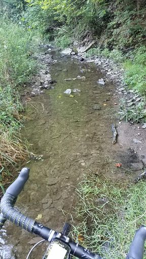 Rode half of meek creek trying to get out.