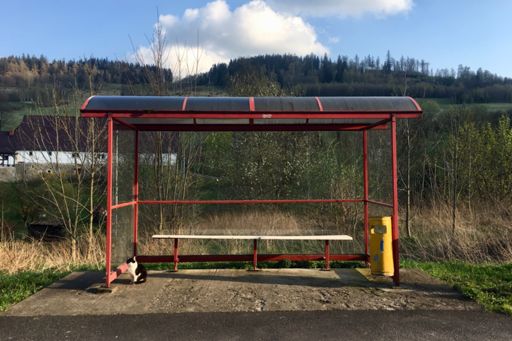 Cholerne autobusy, zawsze spóźnione!