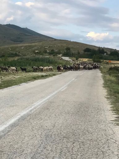 Με έπιασε το κόκκινο!