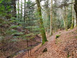 Pourrimont