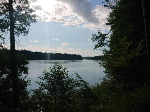 Erster Ausblick nach wenigen Metern. Is dar Wat herrlich hier.