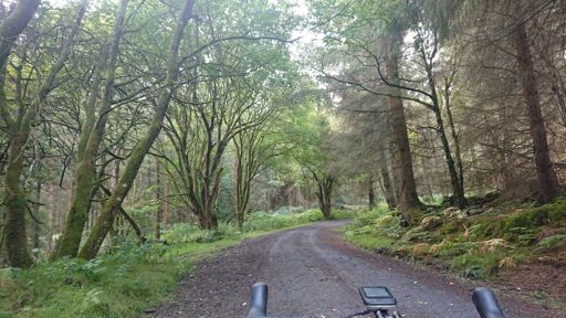 Easiest, smoothest off-road ever.