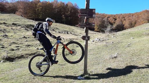 www.strava.com