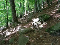 Tour des châteaux felkenstein