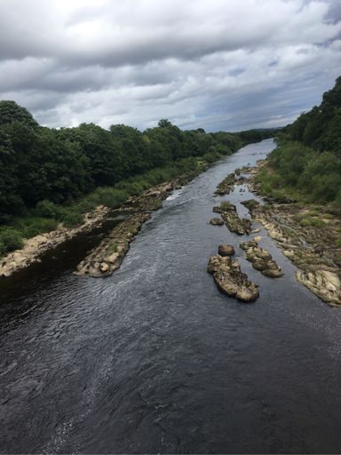 River Tyne at Bywell