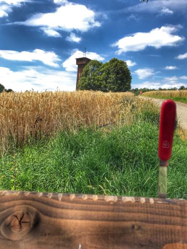 18 Kerben! Glückwunsch an alle Bekloppten!