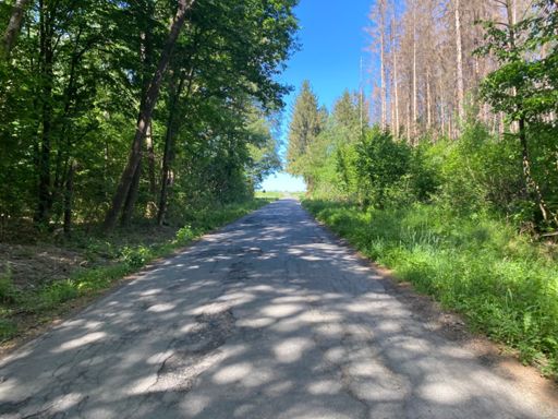 Erster Anstieg am Steinbruch in Richtung Ellweiler