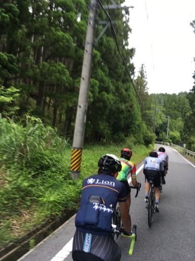 まだまだ元気。