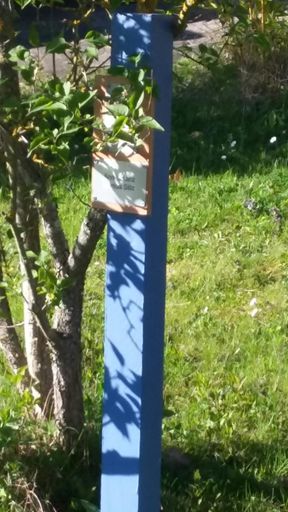 Col de Seesbach, Coke getrunken