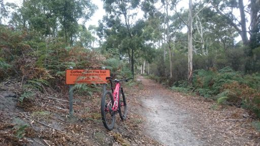 Good old Peter Murrell reserve.