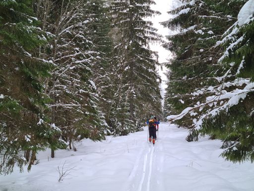По просеке восток-запад вблизи границы областей.