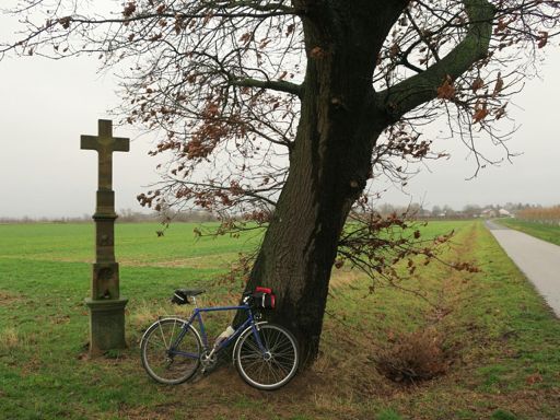 Zwischen Peppenhoven und Flerzheim