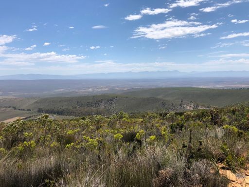 Die Weite der Kleinen Karoo