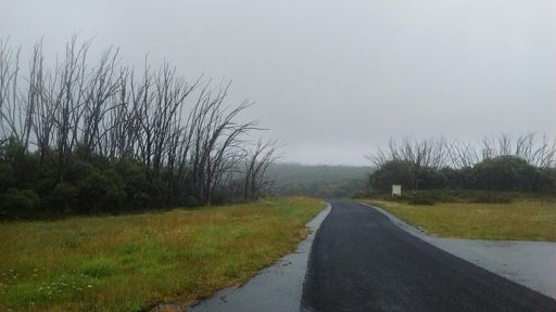 Lots of this. Very pretty. Very wet.