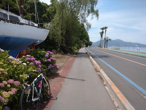 なにも考えずにただ走る
久しぶりにトレーニング走